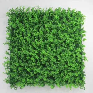 Muro verde arrayan verde. El precio es por metro cuadrado.