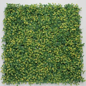 Muro verde boxwood amarillo. El precio es por metro cuadrado.