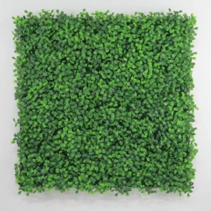 Muro verde boxwood verde. El precio es por metro cuadrado.