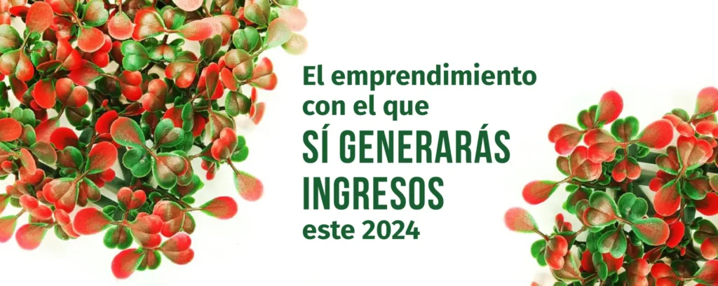 El emprendimiento con el que sí generarás ingresos este 2025